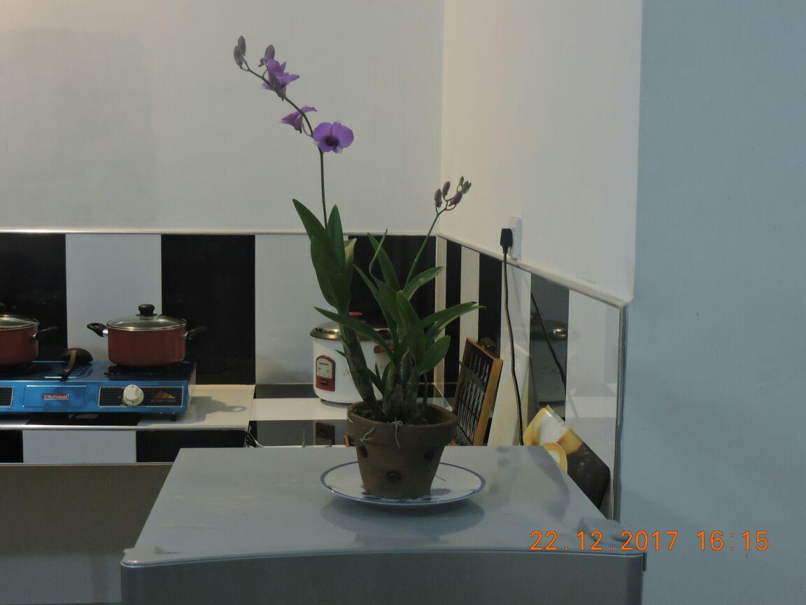 Akain Villa Dodanduwa Dış mekan fotoğraf